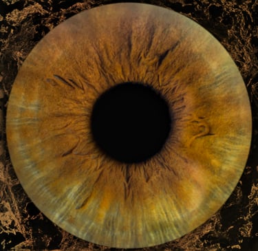Close up of Dr. Denenberg's Iris, Iris Photography