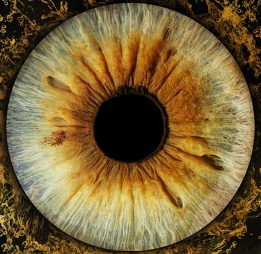 Close up of Dr. Bryant's Iris, Iris Photography