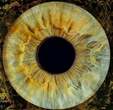Dr. Szuba's Iris, Iris Photography