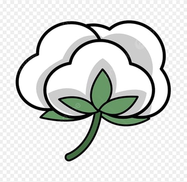 T shirt Manufacturer in tirupur india