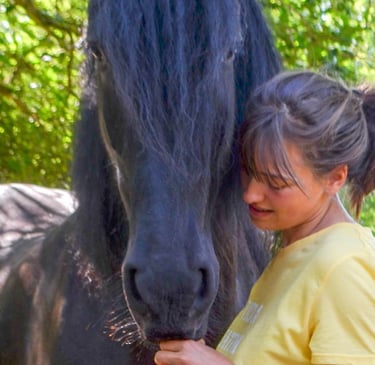 Mediation animale