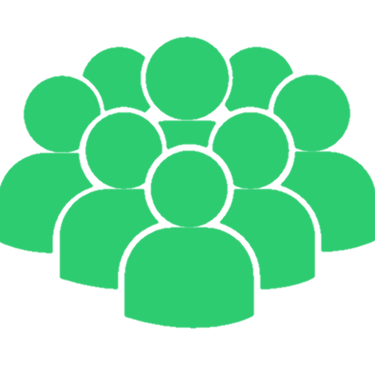Group of music fans icon