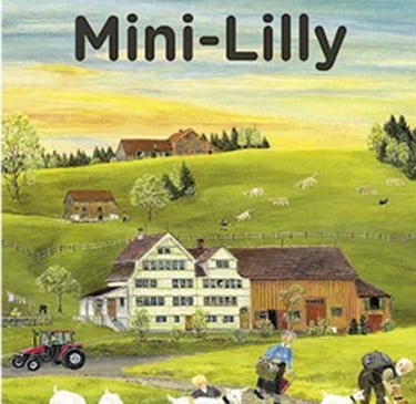 Das Buch Mini-Lilly von vorne
