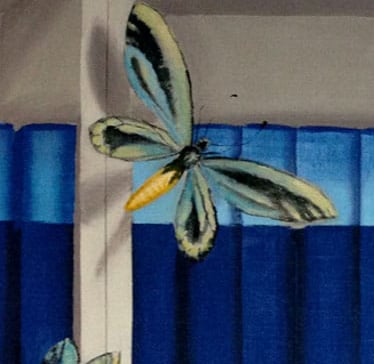 Close-up of bookshelf in trompe-l'oeil style showing a butterfly and books.