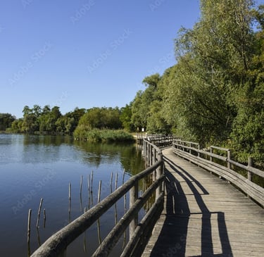 Lac avec passerelle en bois Viry-Châtillon, France