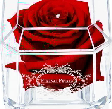 Real Rose That Lasts Years