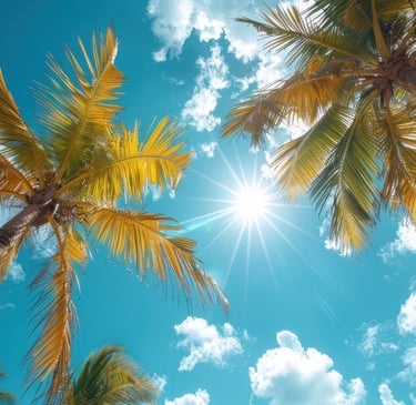 Sunny tropical weather with palm trees and blue sky in the Dominican Republic