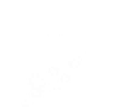 Awakened Stories Glowing Butterflies