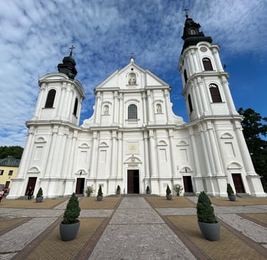Paulini Leśna Podlaska