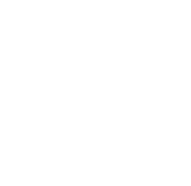 deux palmiers 