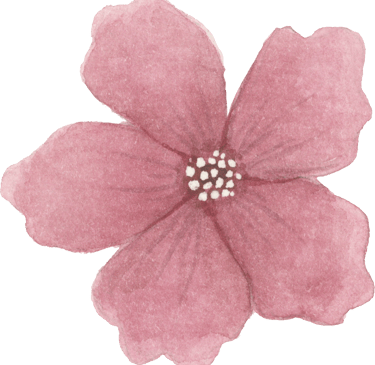 pink pomegranate flower