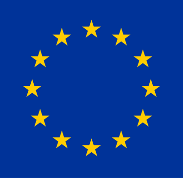 a flag of the european union flag
