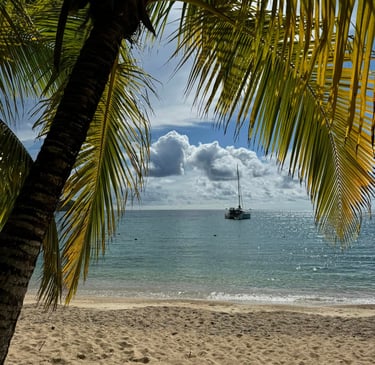 a sailboat is seen from the beach with palm trees