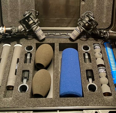 Set of Schoeps microphones and accessories neatly organized in a protective case. Professional locat