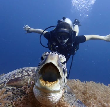 Scuba diver swimming gracefully alongside a majestic sea turtle in the clear waters of the Gili Islands.