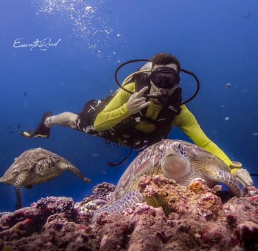 Diver showing awesome sign with two turtles in Gilli Trawangan