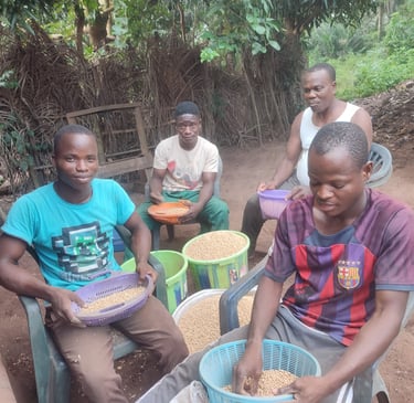 Les équipiers de l'association Emmaüs MOBOVOME trient le soja