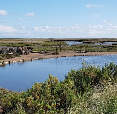 Murrys Pond on the Marsh