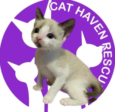 Proud Sponsor of Cat Haven Rescue