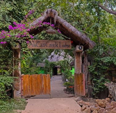 A serene view of Abca's Creek Lodge, featuring cozy wooden cabins nestled along a tranquil creek, su