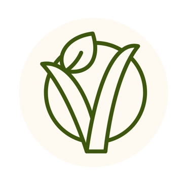 Plat végétarien de notre brasserie vue mer à saint-malo