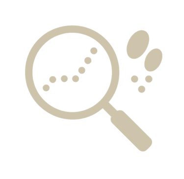 icone-traces-et-signes