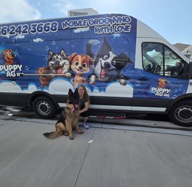 Professional mobile dog grooming van with cartoon dog graphics and a German Shepherd posing outside.