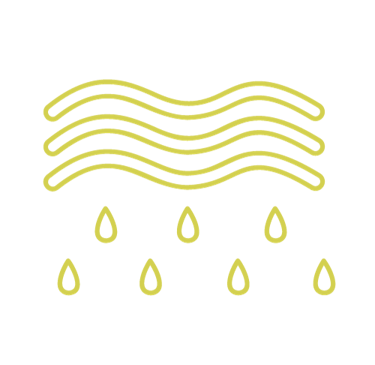 water leak inspection