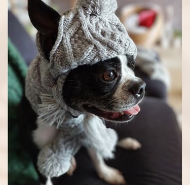 Yoki in her grey winter beanie and scarf.