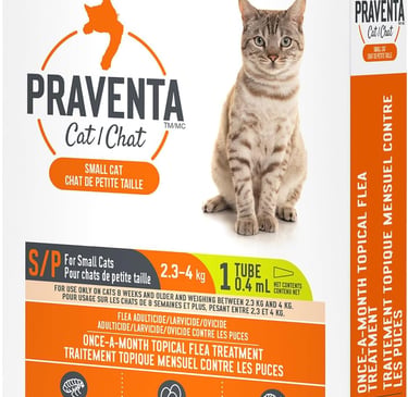 Parapet Praventa for Small Cats - 1 Tube