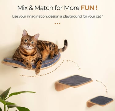 Cat Wall Shelves for Cat Wall Steps, Perch, Ladder, Wooden Floating Modern Mounted Cat Furniture