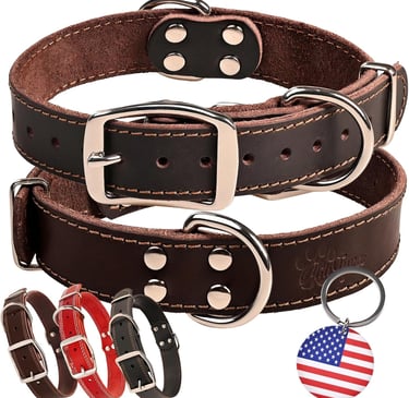ADITYNA Heavy-Duty Leather Dog Collar for Medium Dogs - Soft and Strong, 100% Genuine Leather