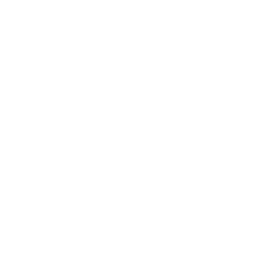 dragon icon