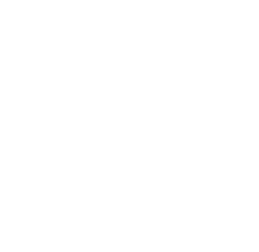 magic wand icon