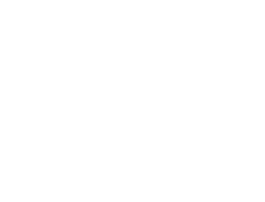 TTC Schwalbe