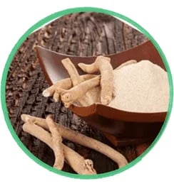Ashwagandha adaptogen for cortisol modulation, protecting the HPG axis, and maintaining libido.