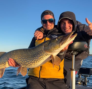gros brochet des lacs landais