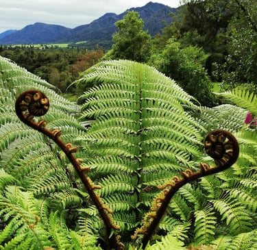 Professional development, personal growth accompanied by a Coach