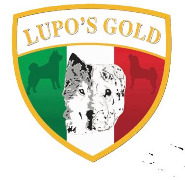 cuccioli sharpei campania