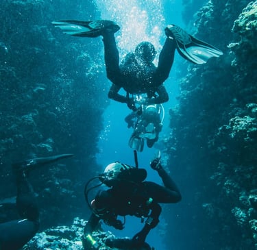 Scuba boat dive at havelock offer