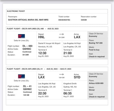 El pdf con el vuelo de Onwardfly