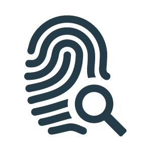 Seguridad Complementaria