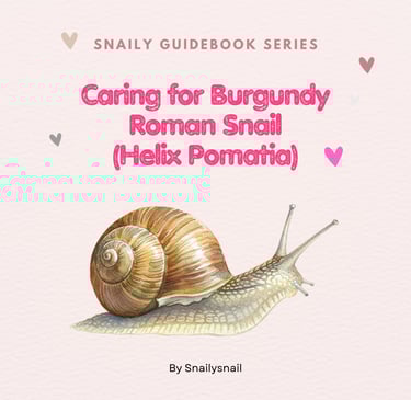 CARE BOOK FOR ROMAN SNAIL HELIX POMATIA