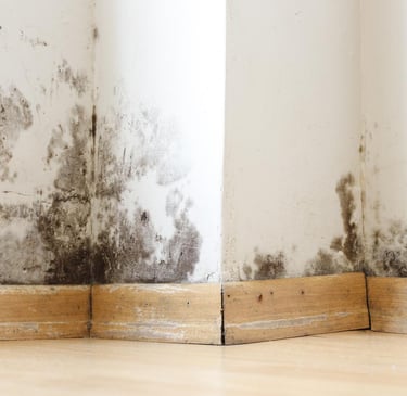 Black mold growth on a white wall corner and wooden baseboard due to water damage and dampness.