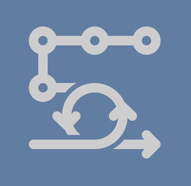 Strategic Execution & Program Delivery icon