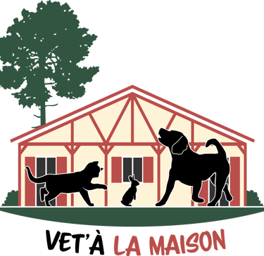 vet'à la maison