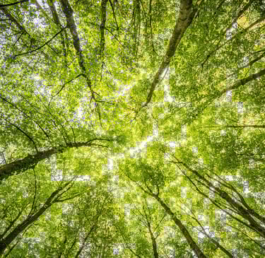 Soluções inteligentes em engenharia ambiental e segurança do trabalho com foco sustentável.