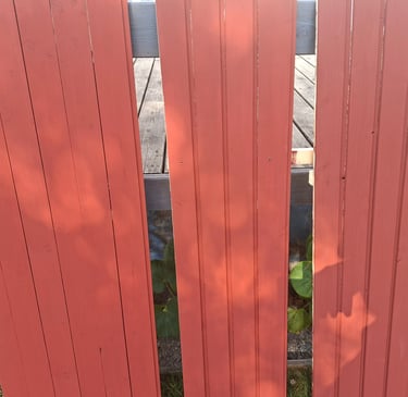 peinture bio pour bois exterieur et interieur bradage mensuiserie teste sur 3 planches à volets rabotés en trois nuances