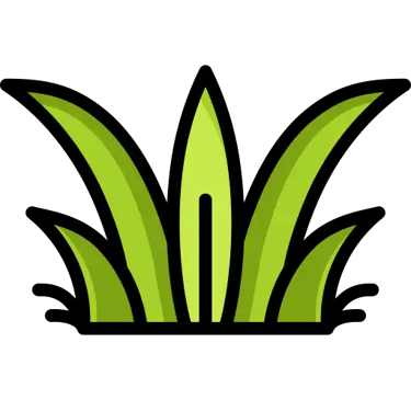 Grass Lawn Icon