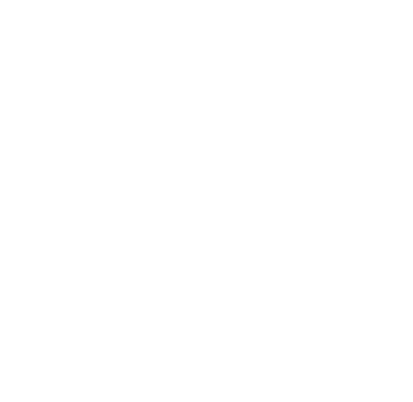 logo with letters N and B